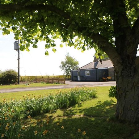 The Bungalow Newcastle upon Tyne Eksteriør billede