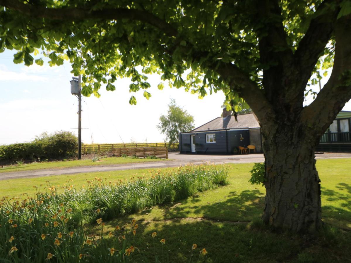 The Bungalow Newcastle upon Tyne Eksteriør billede